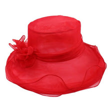 Load image into Gallery viewer, Fashion Show Wide Brim Hat Organza